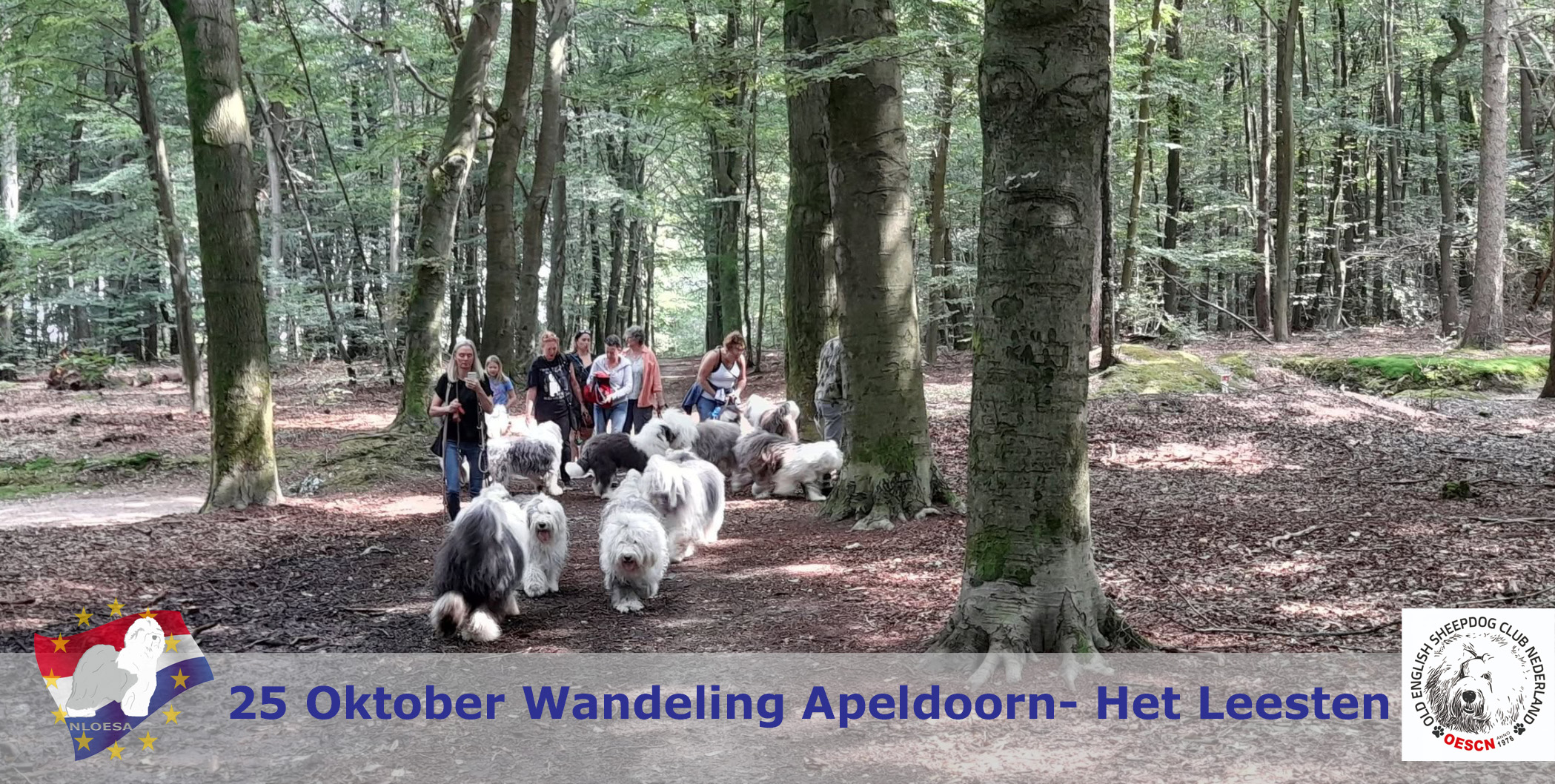 Wandeling