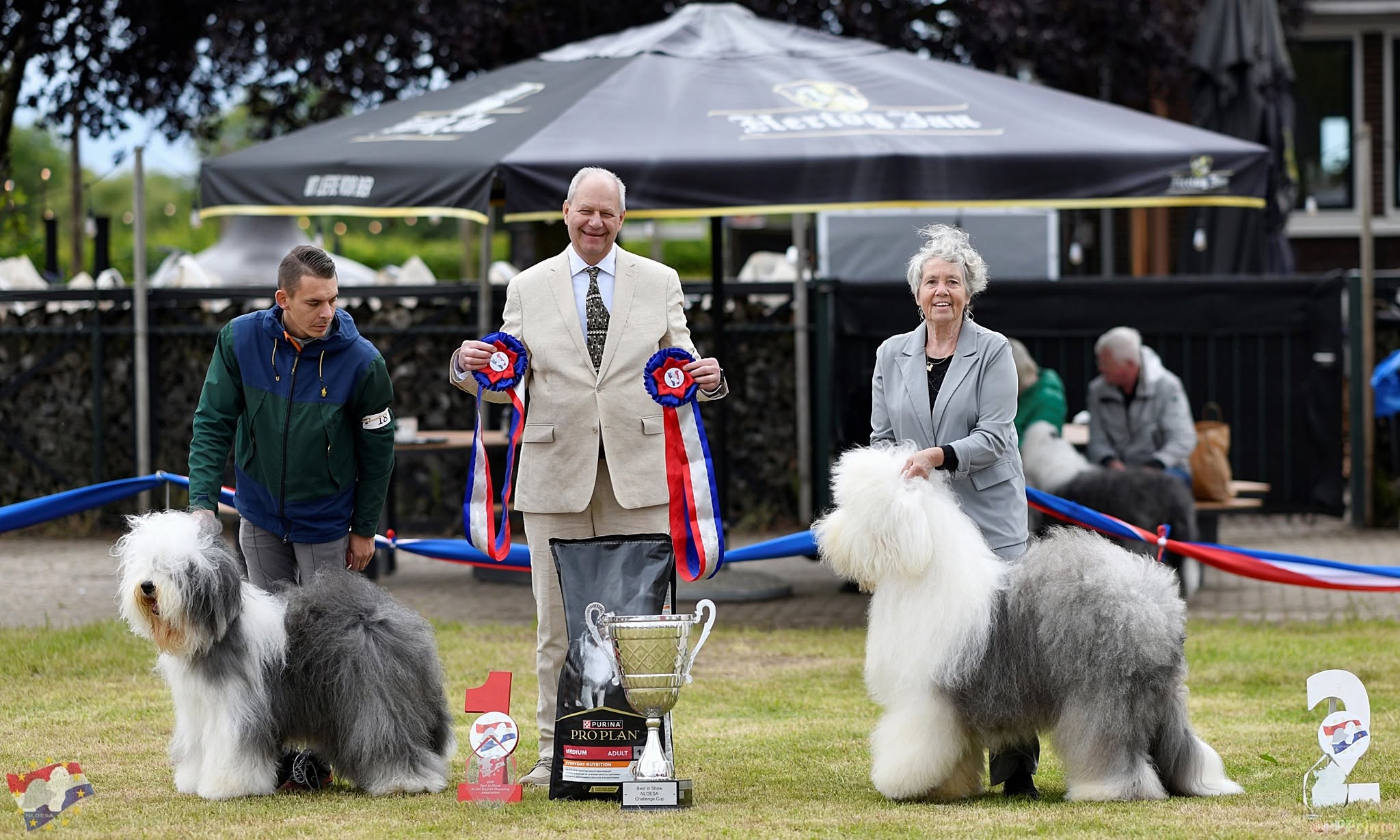 NLOESA Best in Show 2026