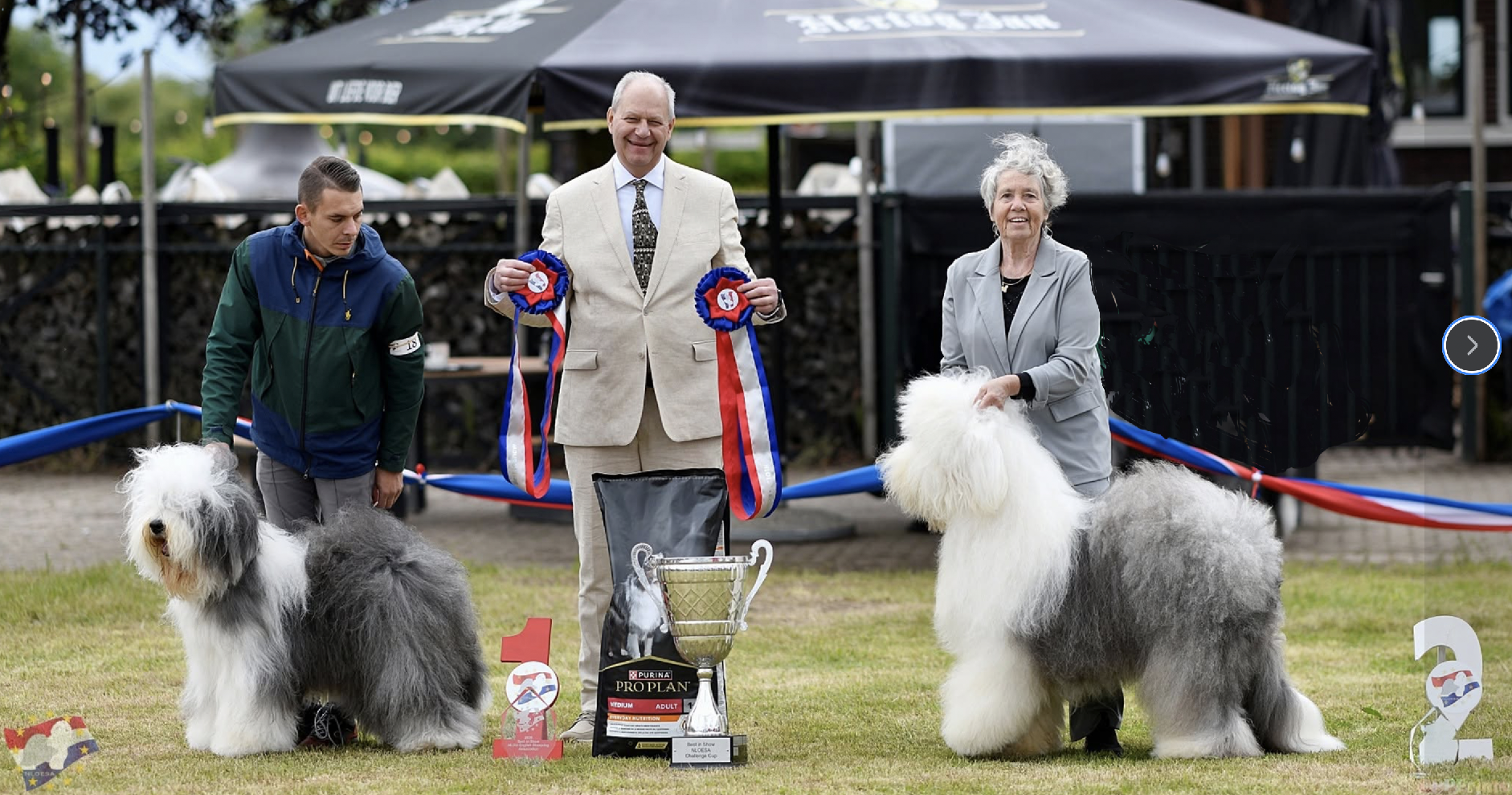 NLOESA Best in Show