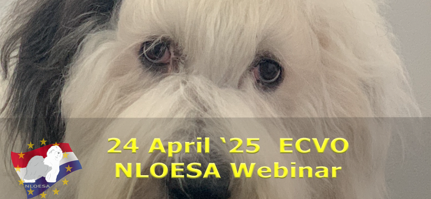Webinar oogziekten