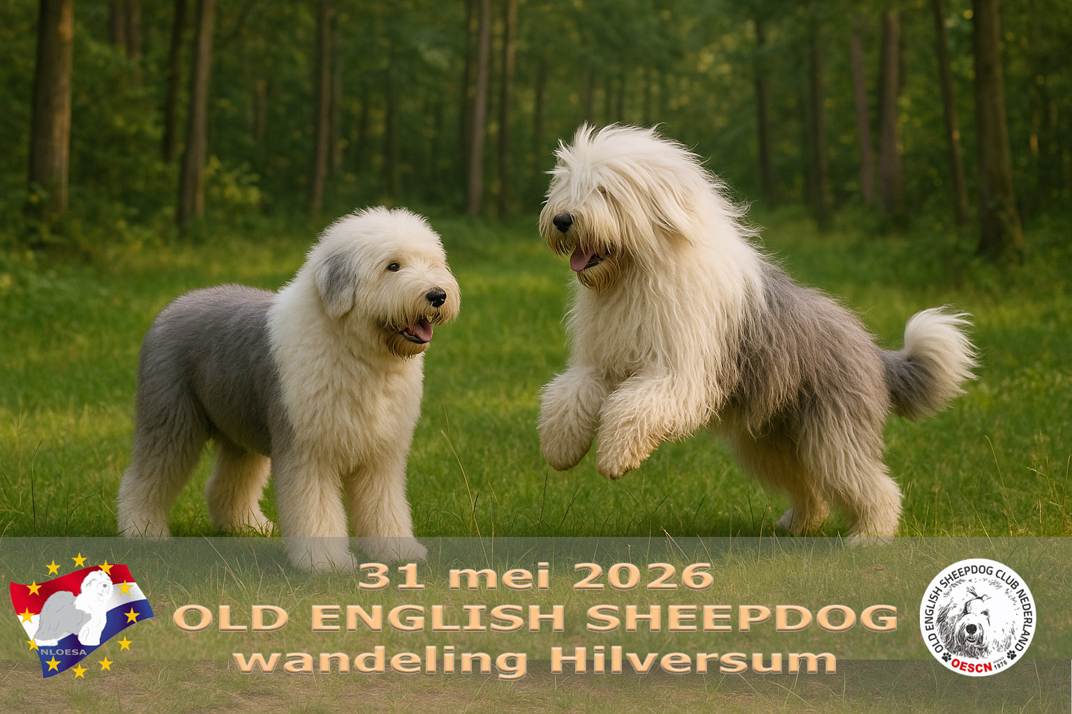 Wandelen in Hilversum