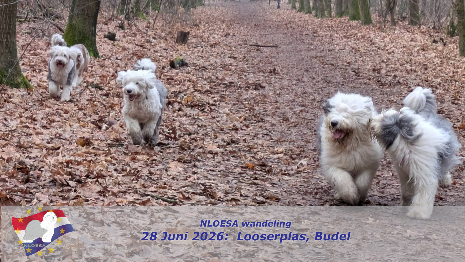 Wandeling