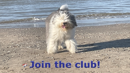 Join the club!