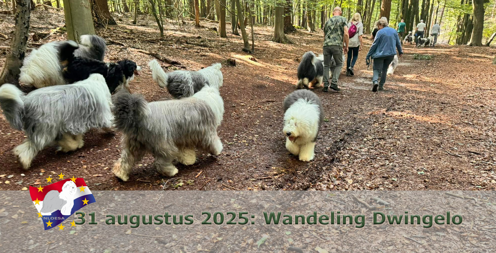 Wandeling Oost NL